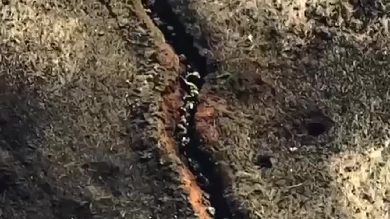 Not Really Sure What's Going On Here