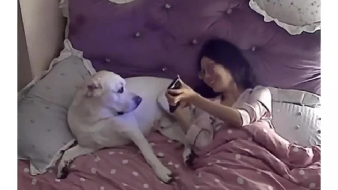 With your dog is your bast friend 👌😍