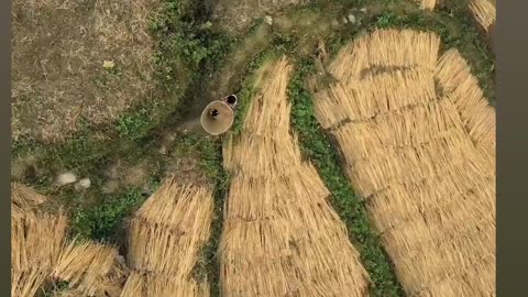 Villages life