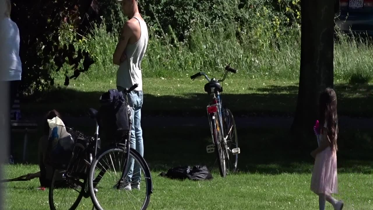 Bråk i Teaterparken, Landskrona 17 Juni 2017