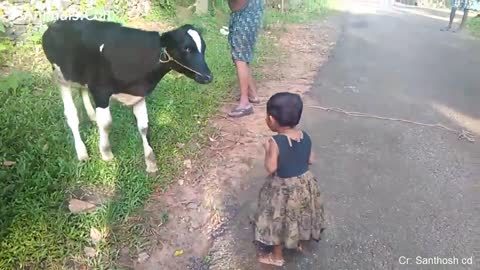 Babies & pets friendship