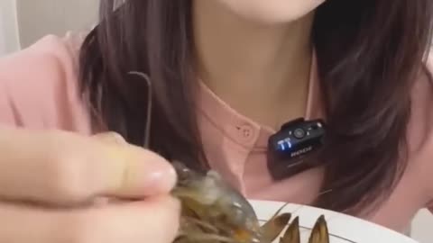 머리따로 몸통따로 먹어야지 타이거새우 간장새우 양념새우 새우먹방 RAW Shrimp TigerShrimp