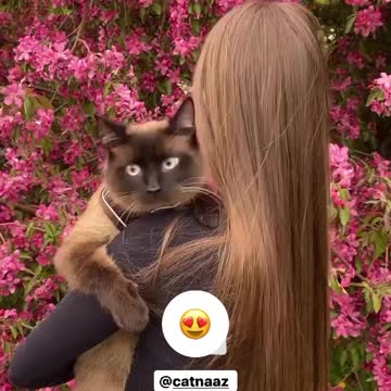 The cat in the flower