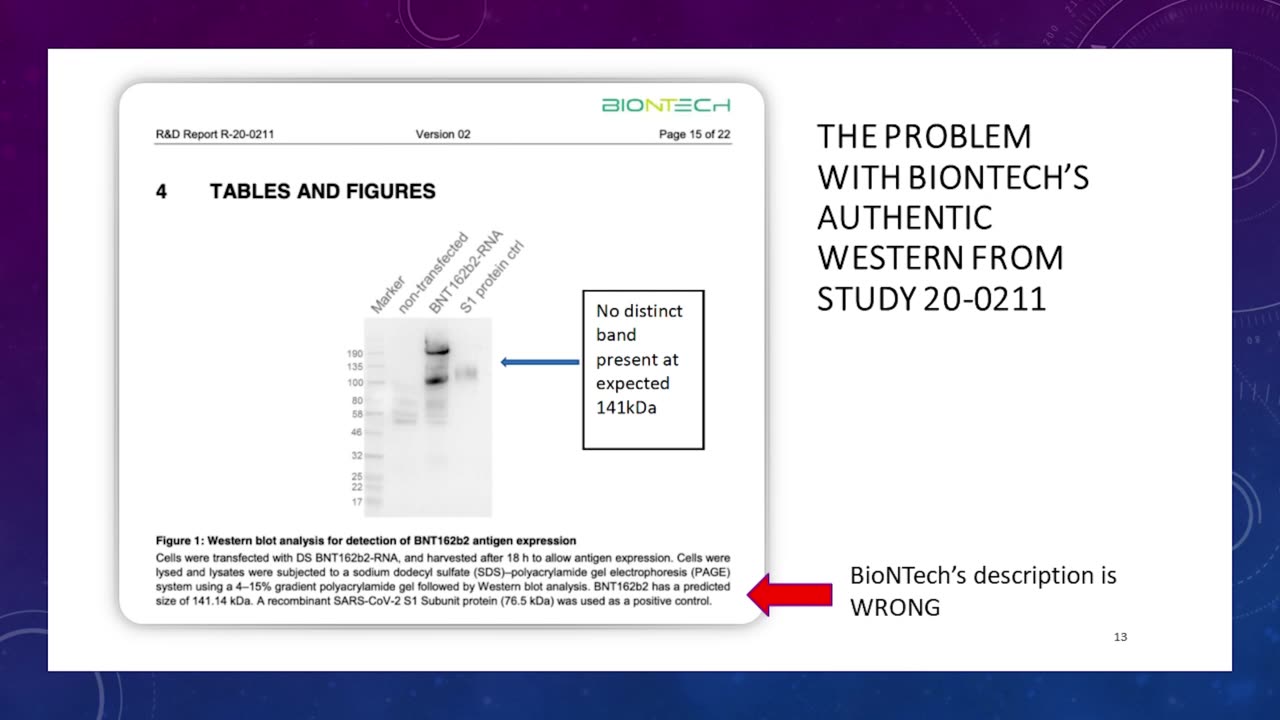 Pfizer-BNT's own analysis reveals that its gene therapy produces something, but not spike protein