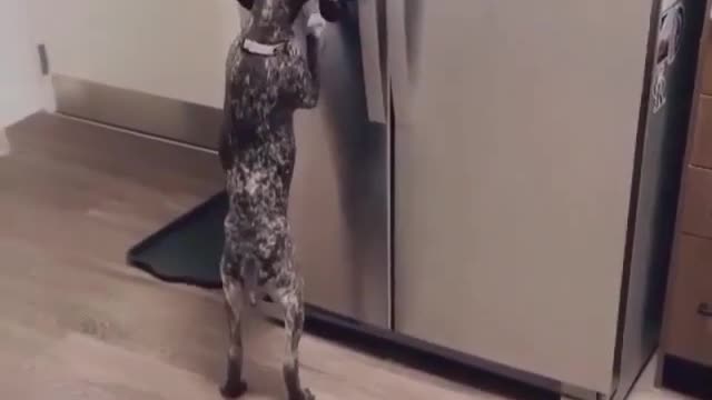 Oh boy! Oh boy! Look mom I found a new toy!