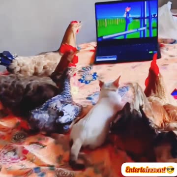 Viral🔥 funny😝 video