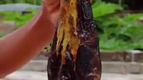 Eggplant chatani# Short video