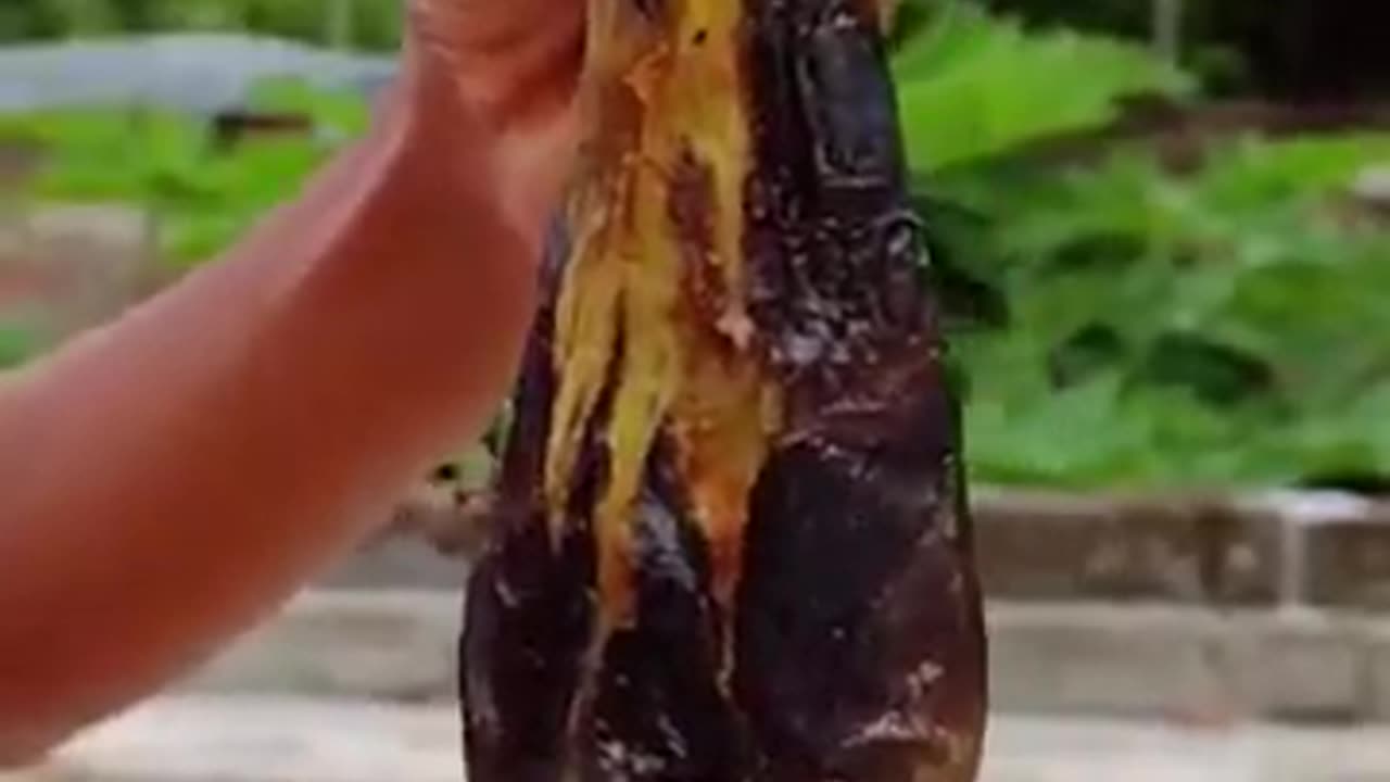 Eggplant chatani# Short video