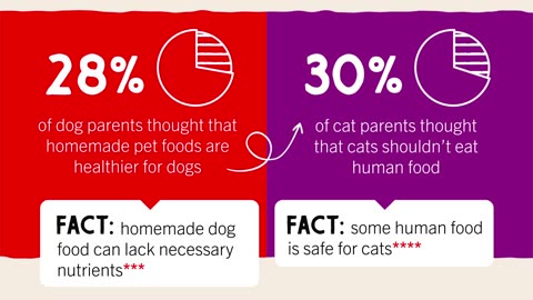 Survey finds the most common pet-related myths pet parents still believe