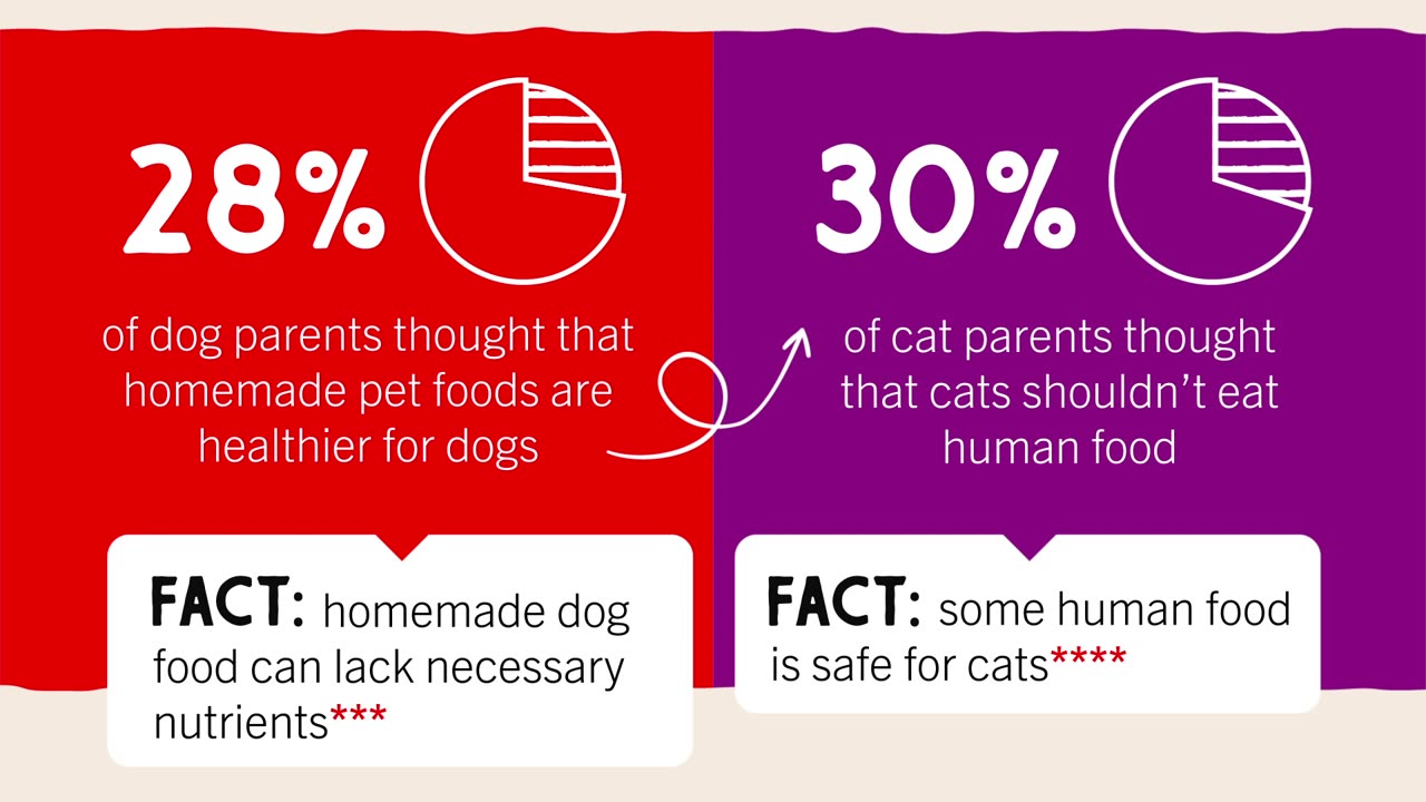 Survey finds the most common pet-related myths pet parents still believe