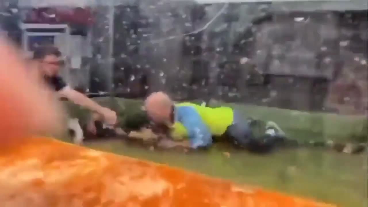 Alligator park visitors rush to help a trainer trapped in a Gator Roll