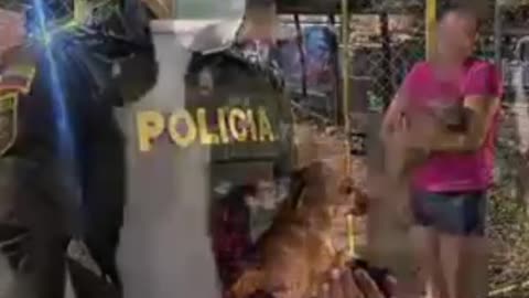 Mujer lanza un perrito por encima de una malla como si fuera un objeto.