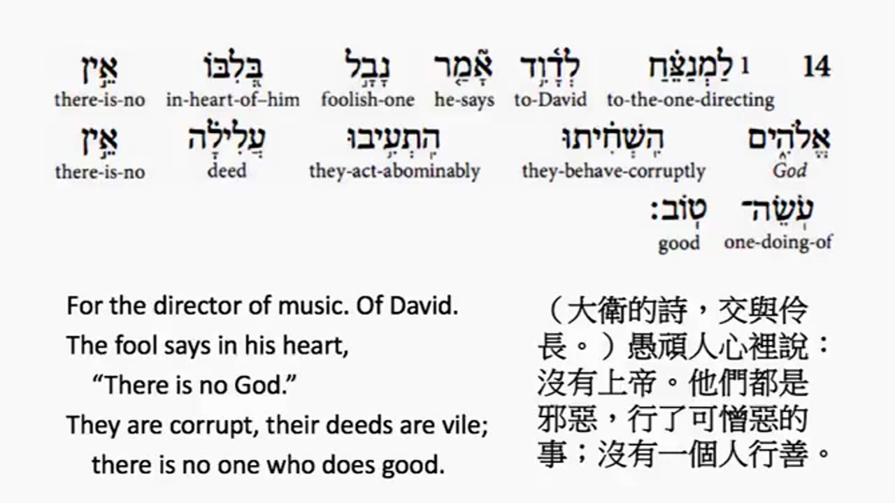 psalm 14 in hebrew _ salmo 14 en hebreo