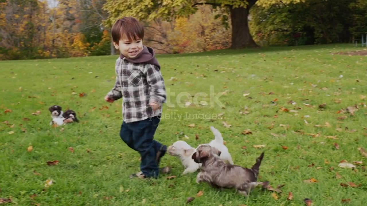 An energetic Asian toddler runs away from small puppies