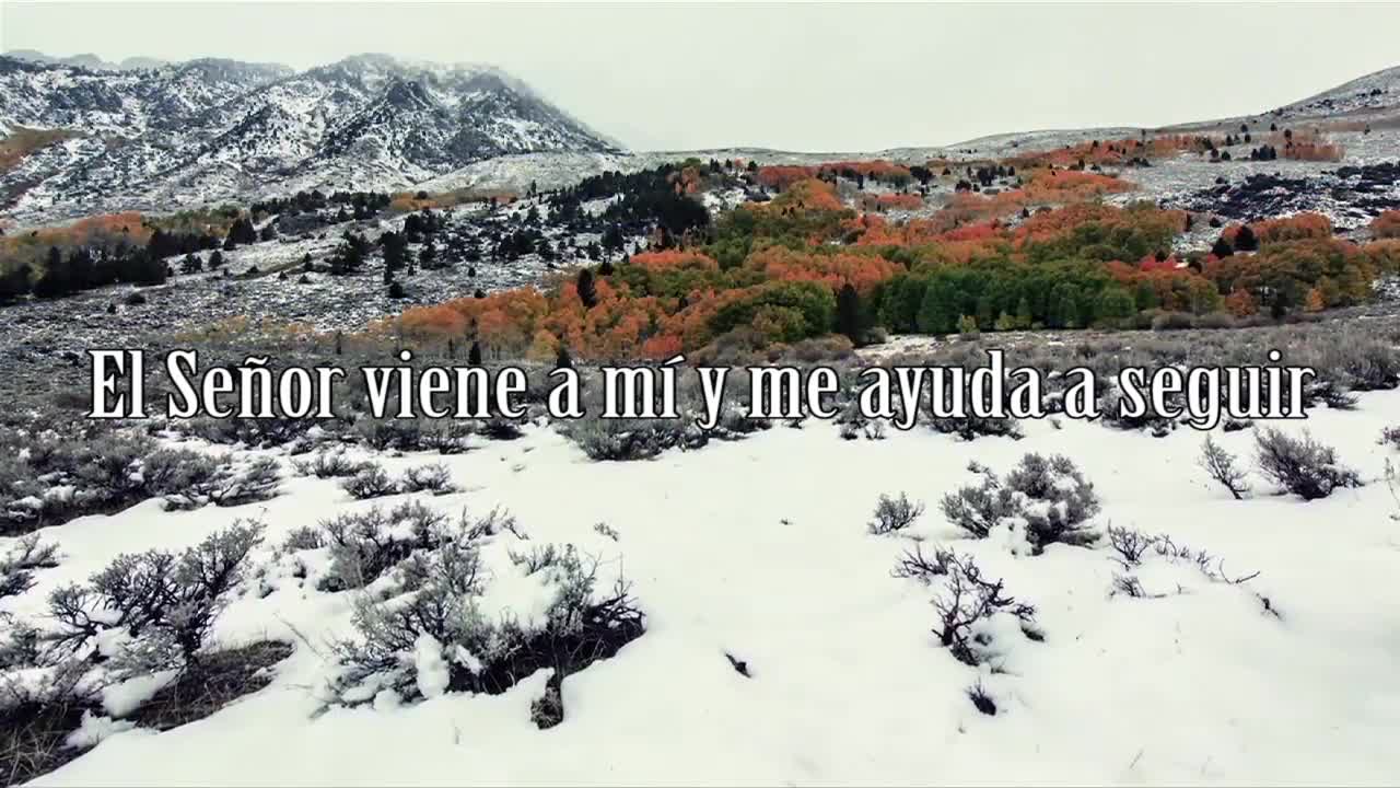 Paz en la tormenta