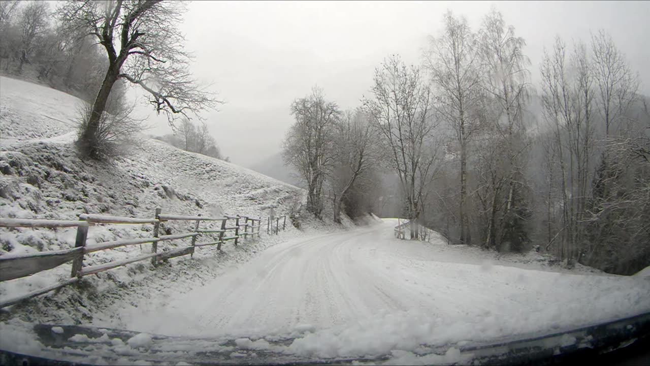 Huntin' and Gatherin'