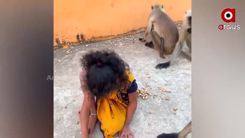 Young Girl Fearlessly Playing with Monkeys