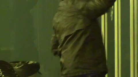 Montreal riots Nov 2024
