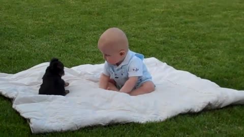 Baby playing with cuddly dog