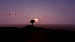 Group zooming around a tree during nightfall