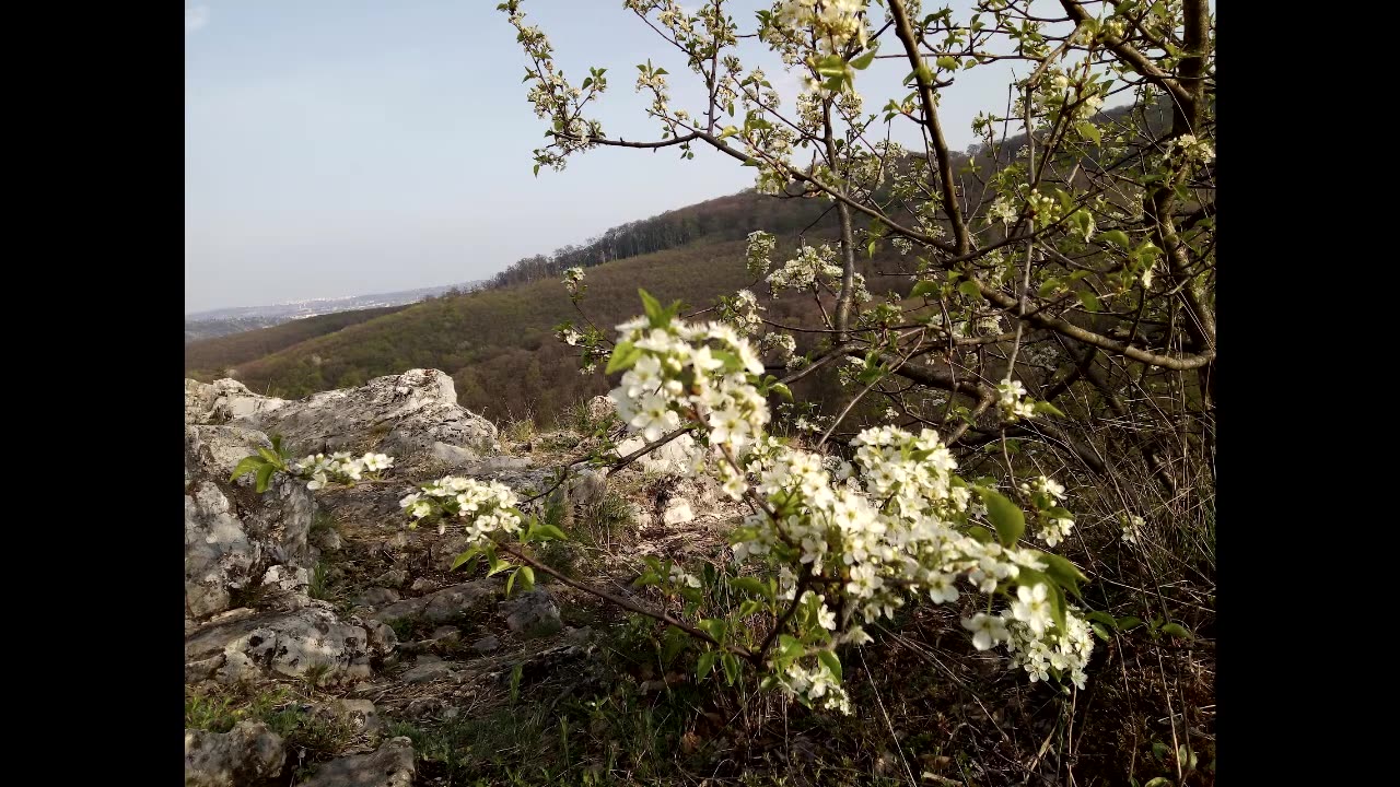 A Bükk - szerintünk