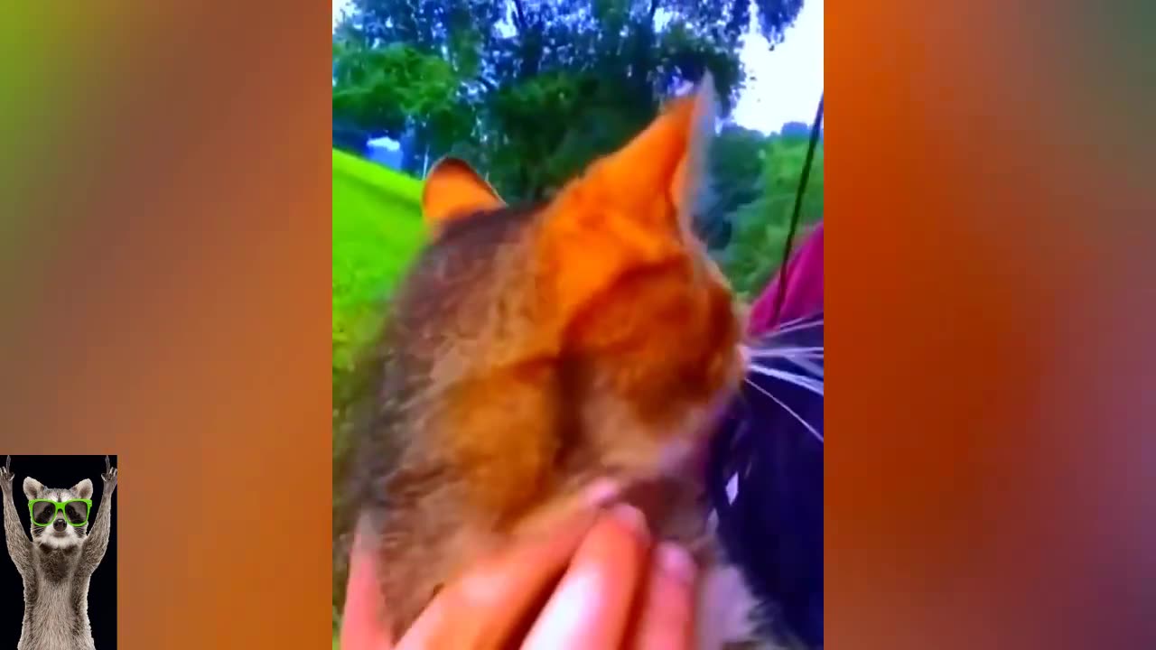 Funniest Cats And Dogs Videos 😂 - Best Funny Animal Videos 2023 😅 # 9