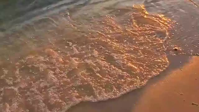 Sea | Nature
