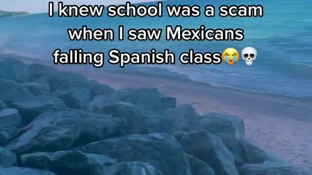 I knew school was a scam when I saw Mexicans falling Spanish class