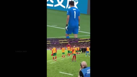 Morocco Players Crazy Celebrations After Win Against Portugal