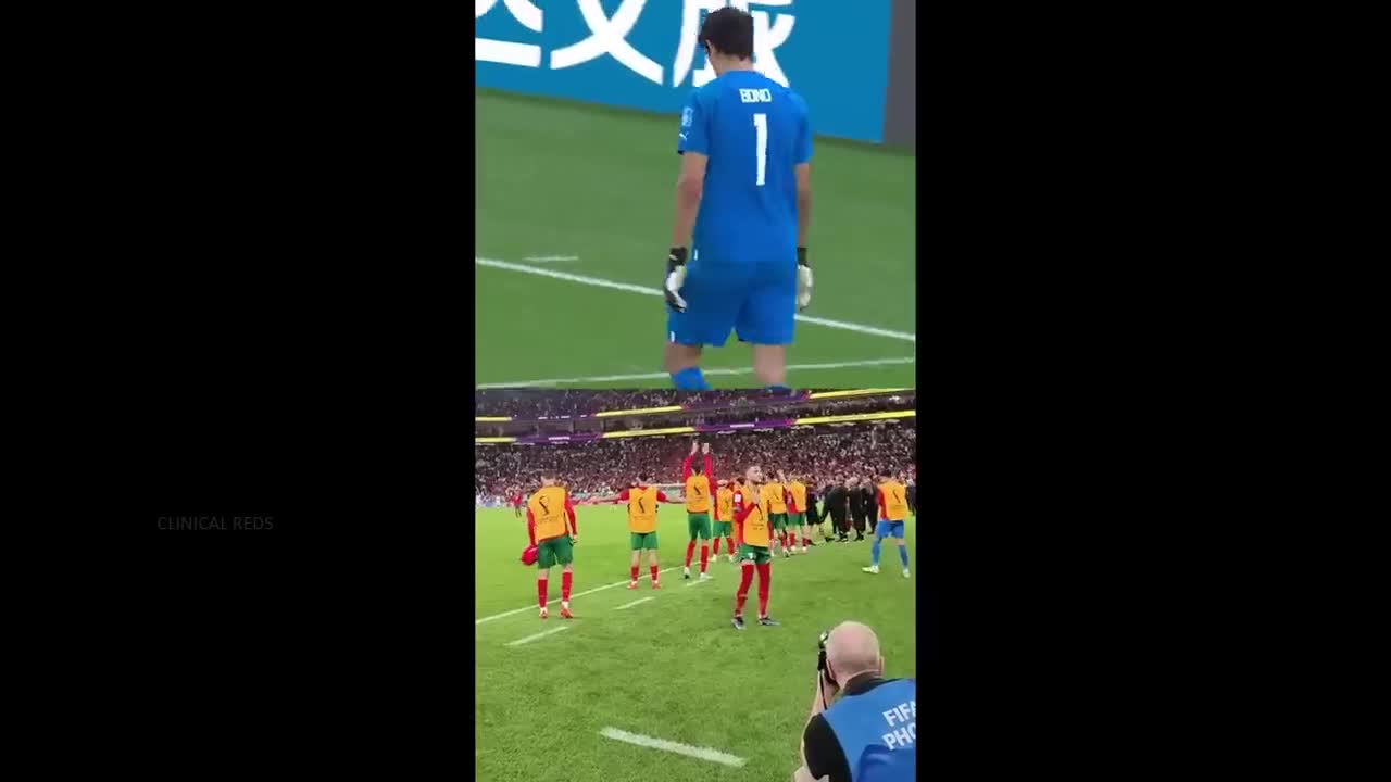 Morocco Players Crazy Celebrations After Win Against Portugal