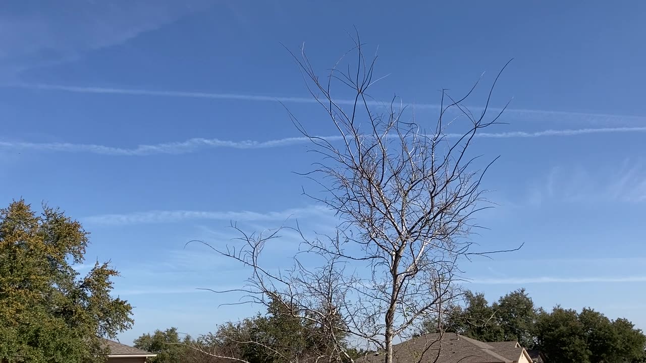 10 Chem trails Feb 2023