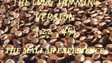 Coconuts (Super Long Jammin' Version) - The Mallar Experience.