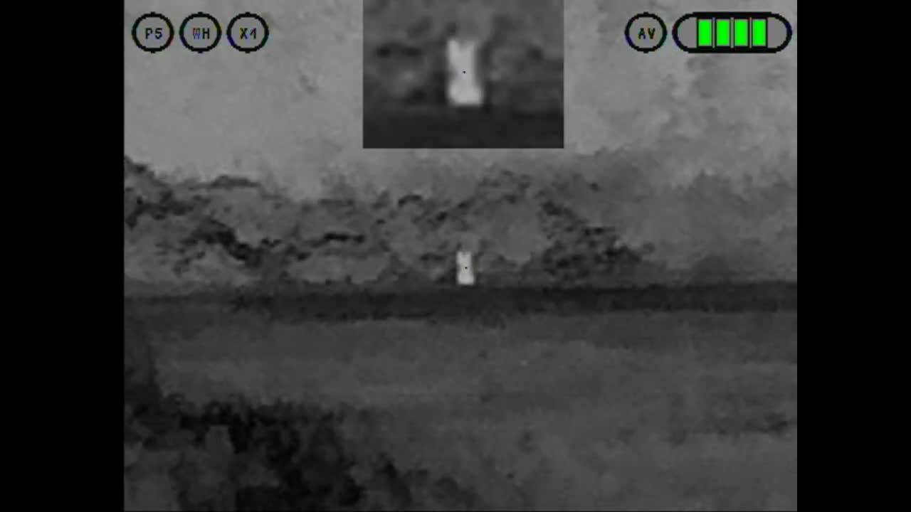 Thermal Hunting: More fox shooting with the .22 WMR and T-Ceptor PRO 55-6