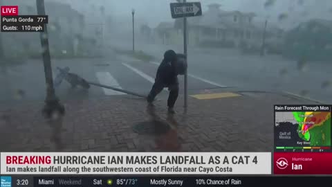 News Reporter Gets Hit By Flying Tree