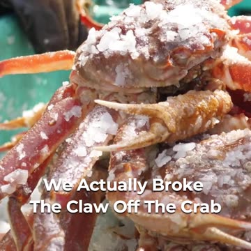 🌊🦀 Summer Adventures: Stone Crabbing In Florida! 🌴🐚