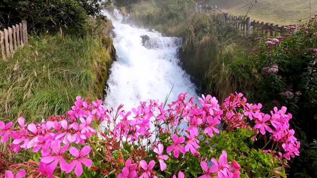 Relaxing Music Sleep Music• Stress Relief Music • Spa • Meditation,