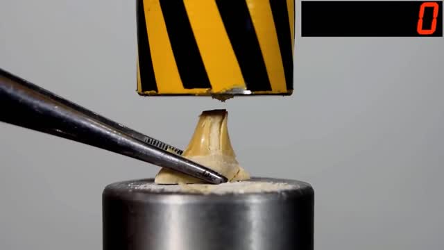 HYDRAULIC PRESS VS THE WOLF'S TOOTH