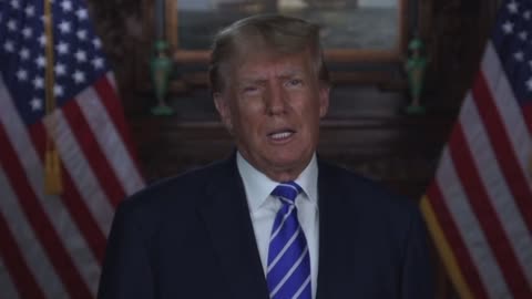 Trump Statement Agenda 47 - Executive Order Ending Automatic Citizenship Aliens for Children of Illegal Aliens
