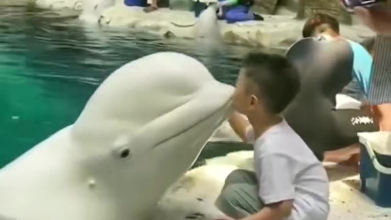 Kid Kissing Fish in Lovely Mood