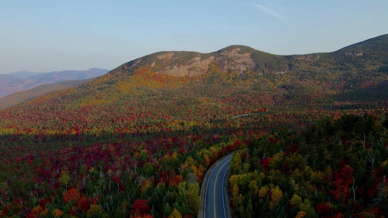 Autumn Foliage Landscape Royalty Drone