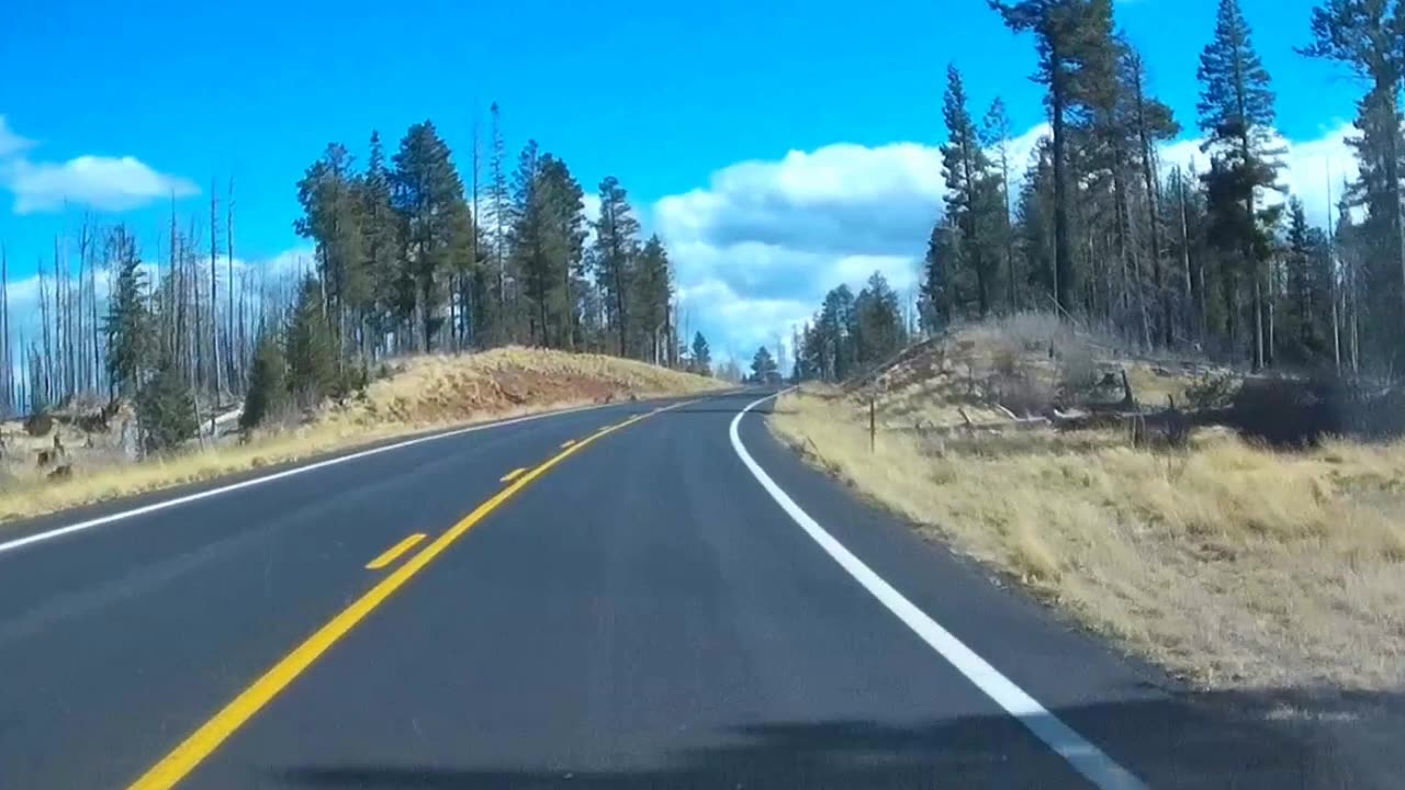 White Mountains Scenic Road Byway Arizona State Route 273 Vanlife Heaven