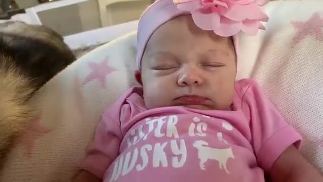 Husky Helps My Newborn Baby Smile For The First Time! [CUTEST VIDEO EVER!!]