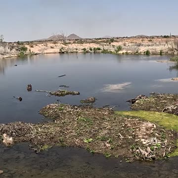 Checking out a part of the mojave river