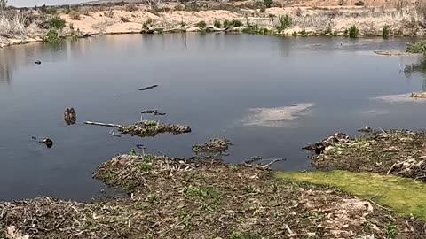 Checking out a part of the mojave river