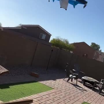 SONGBIRD ANYONE!☠ - Reloaded from STRANGER THAN FICTION NEWS