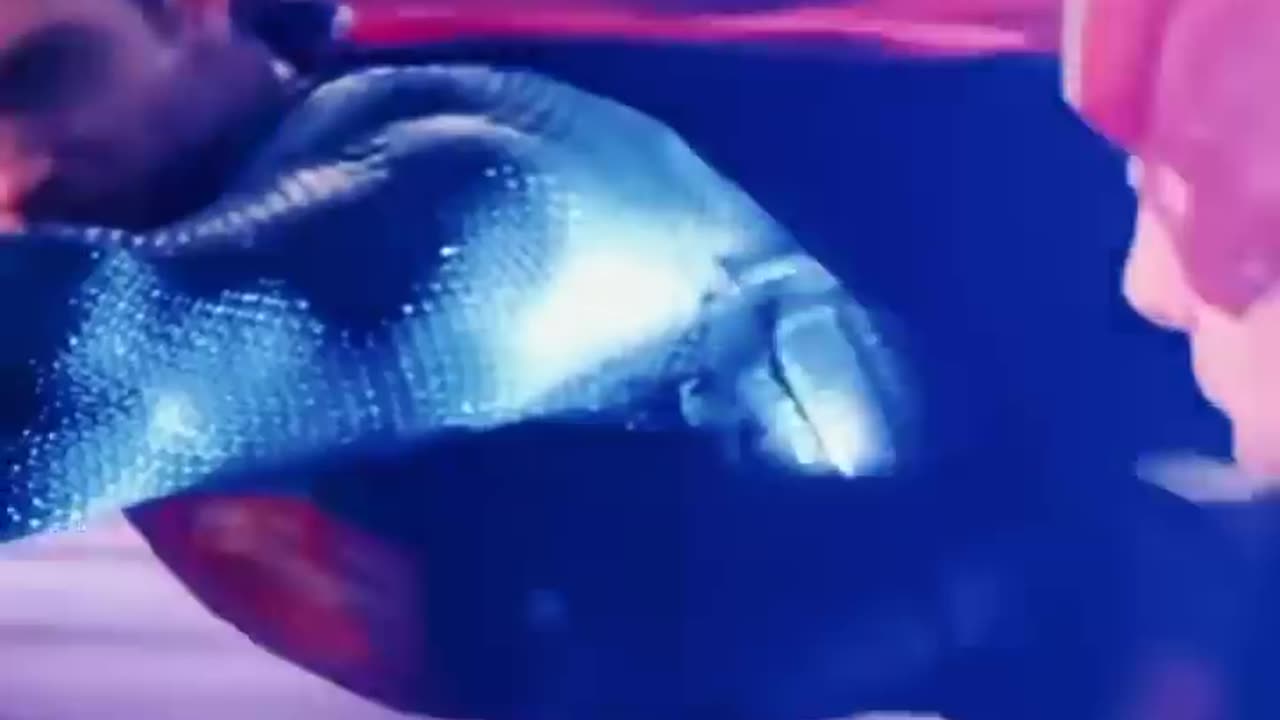 Superman vs Flash