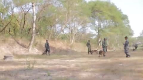 Dog training video crpf