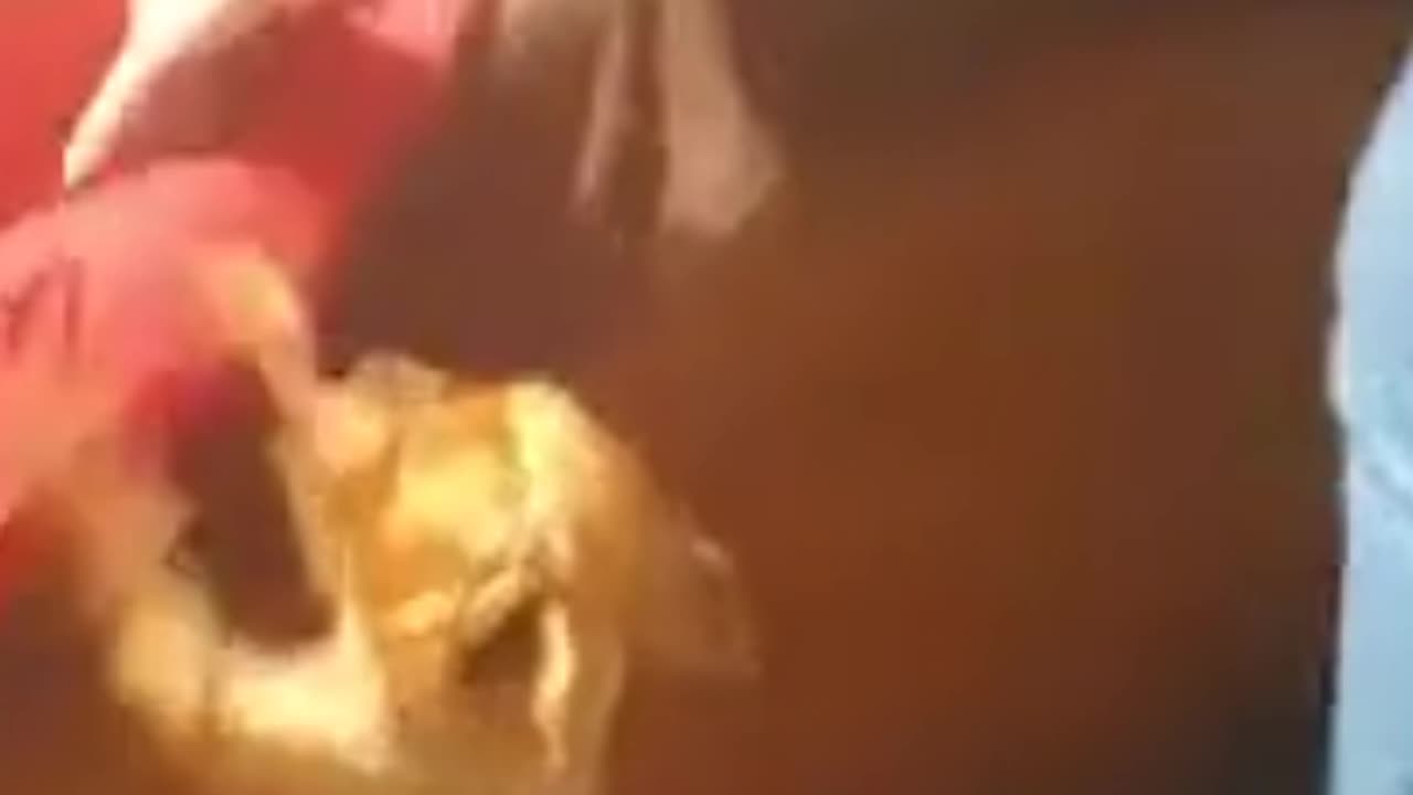 exciting Puppy helps to make the bedπ₯Ίπ±π³π±π