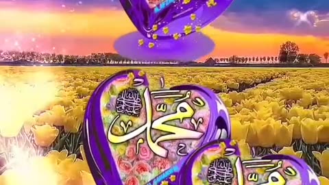 February 26, 2024
