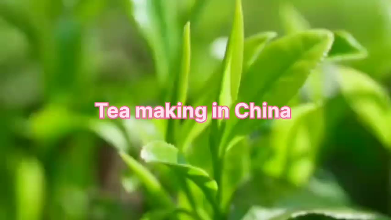 Tea making in China style